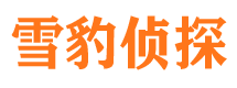 高唐侦探公司